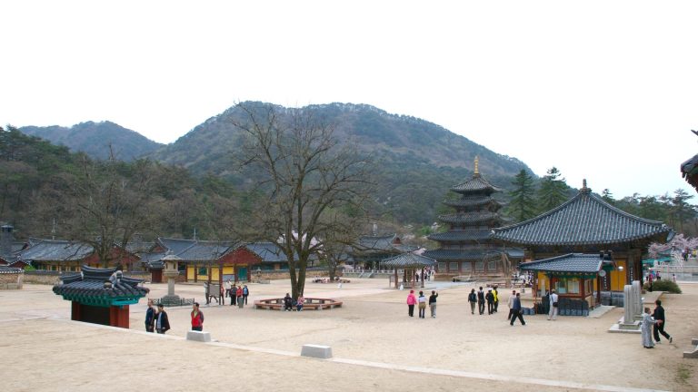 법주사 경내 전경 속 팔상전(오른쪽 다층 목탑)
